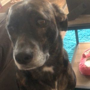 Meet your Posher, Ashleigh